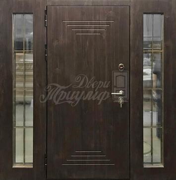 Металлическая дверь Винорит №200 в Старой Купавне