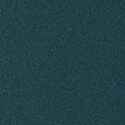 RAL5025