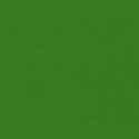 RAL6017