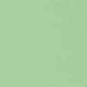 RAL6019