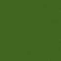 RAL6025
